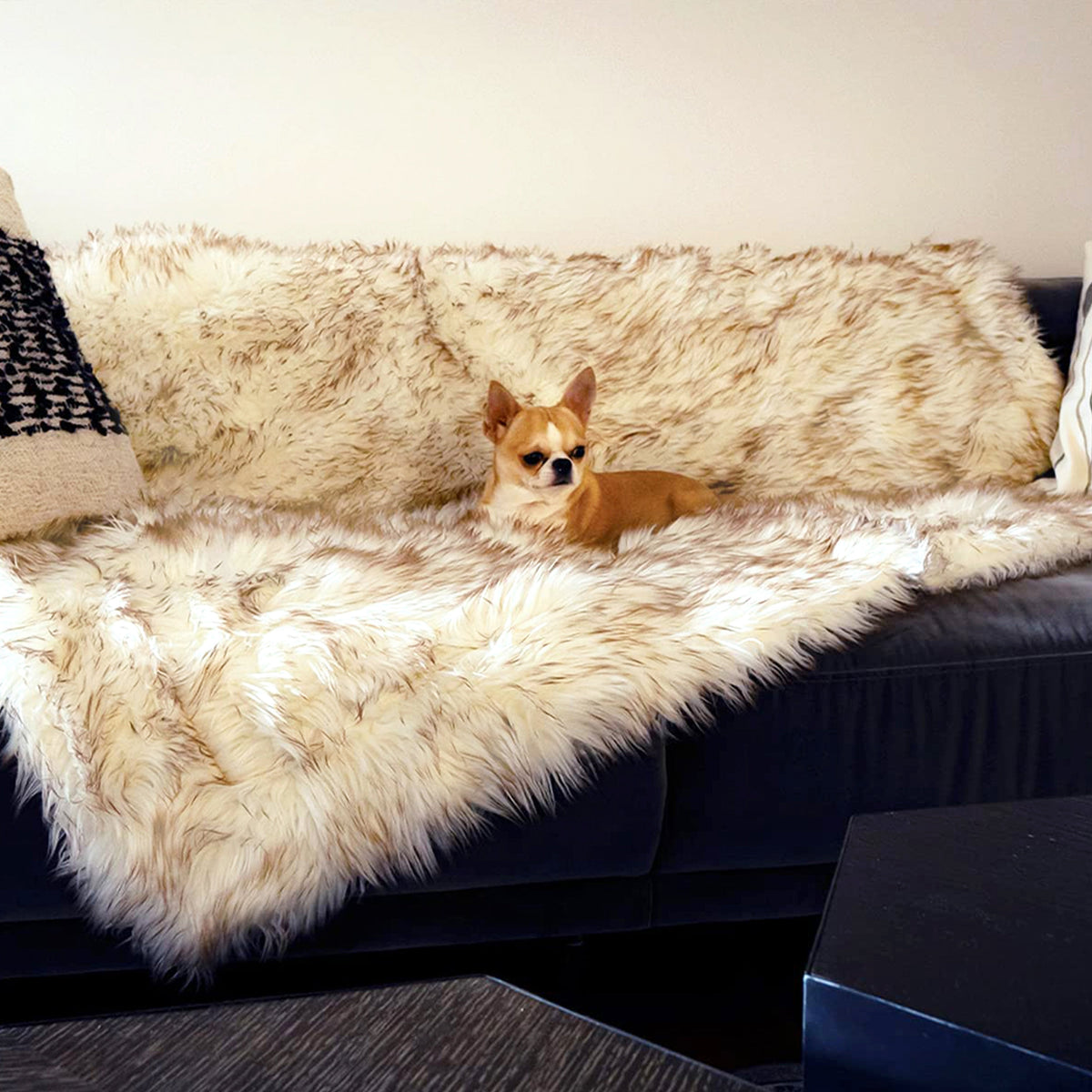 Best Waterproof Throw Blanket for Small & Large Dogs