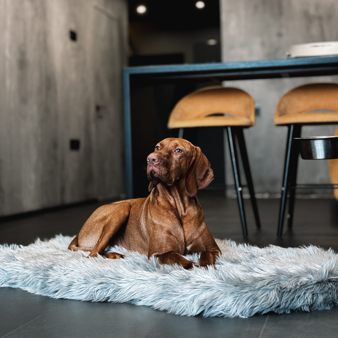 LUXURY FAUX FUR DOG BED