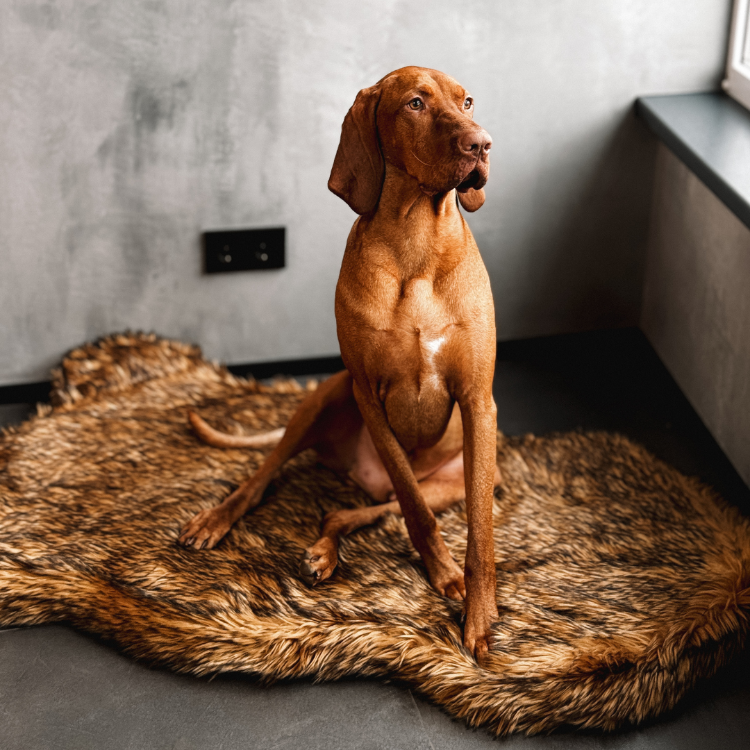 LUXURY FAUX FUR DOG BED