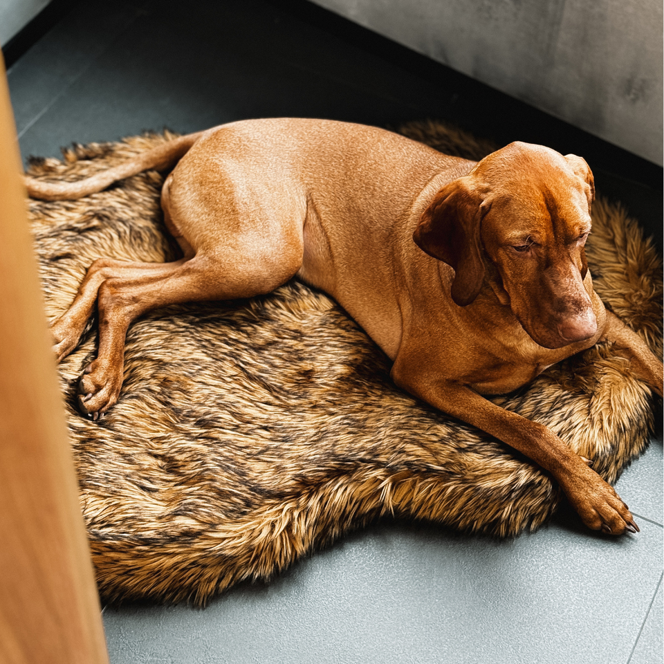 Luxury Faux Fur Orthopedic Dog Bed, Memory Foam Dog Bed for Small, Medium, Large and XL Pets, Fluffy Pet Rug with Waterproof and Washable Soft Cover