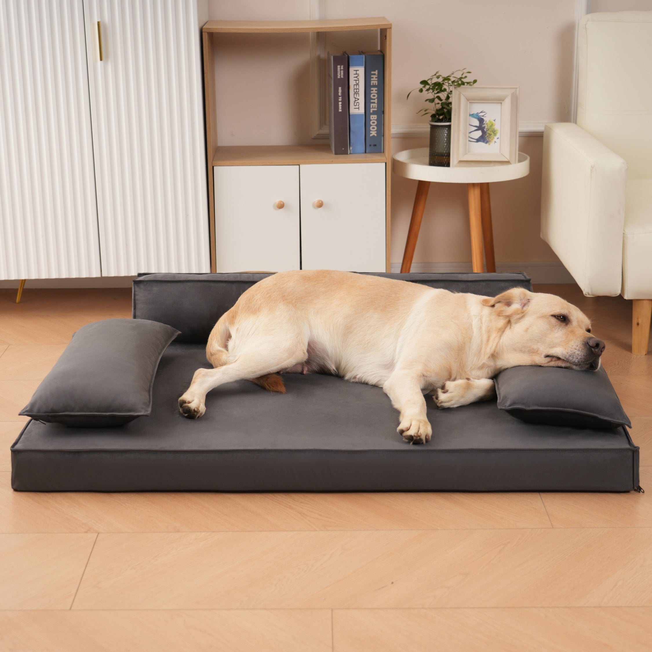 XXL orthopedic dog bed displayed for large breeds and seniors.