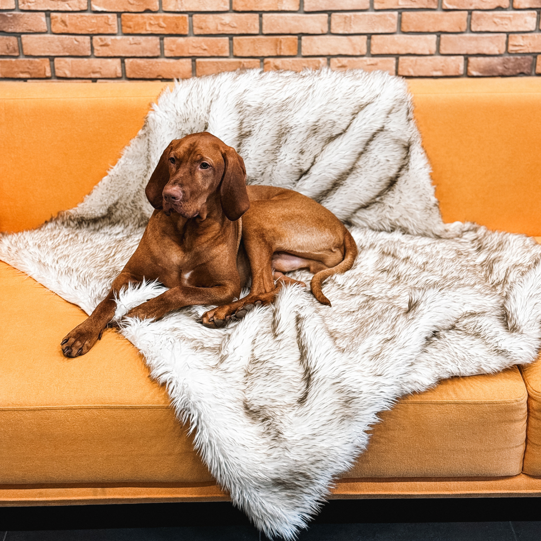 1_88223ddf-66e5-4eaf-930c-