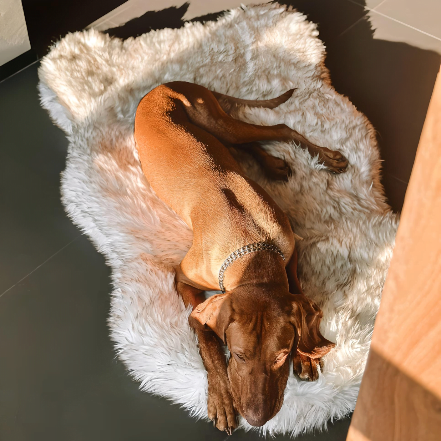 LUXURY FAUX FUR DOG BED