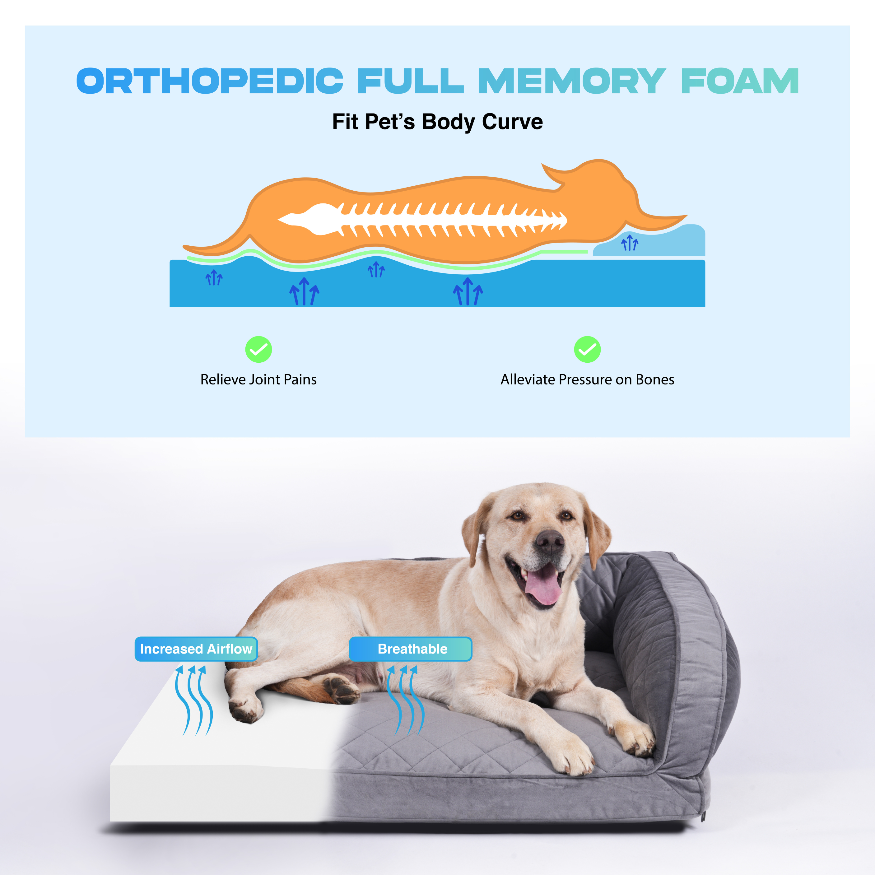 ORTHOPEDIC DOG BED