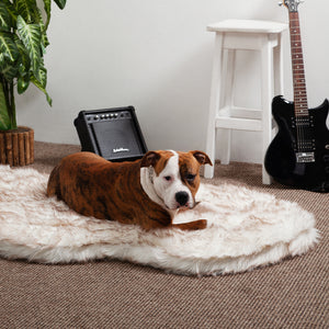 Luxury Faux Fur Orthopedic Dog Bed, Memory Foam Dog Bed for Small, Medium, Large and XL Pets, Fluffy Pet Rug with Waterproof and Washable Soft Cover, Bone White