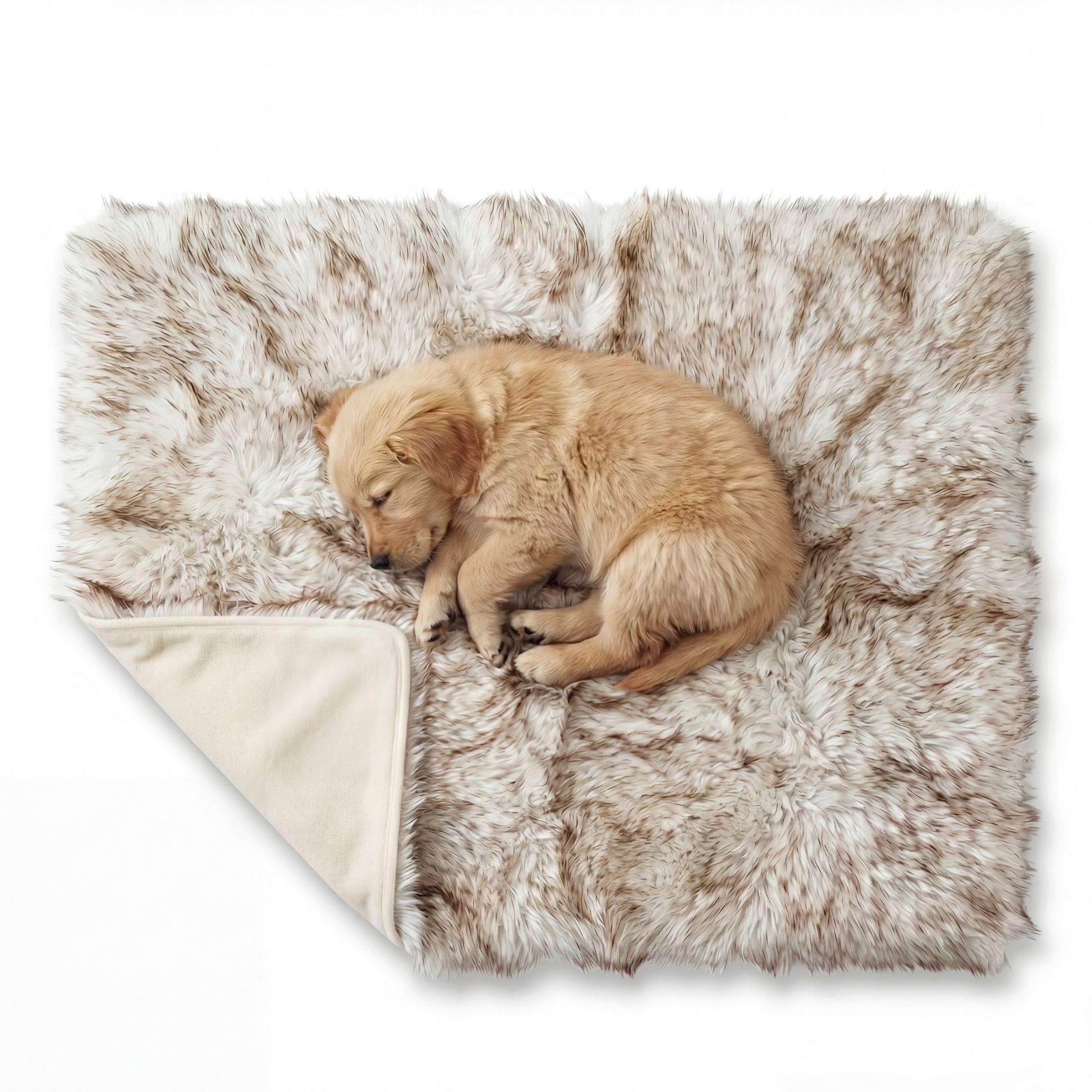 Sleeping puppy on a fluffy blanket with a white background