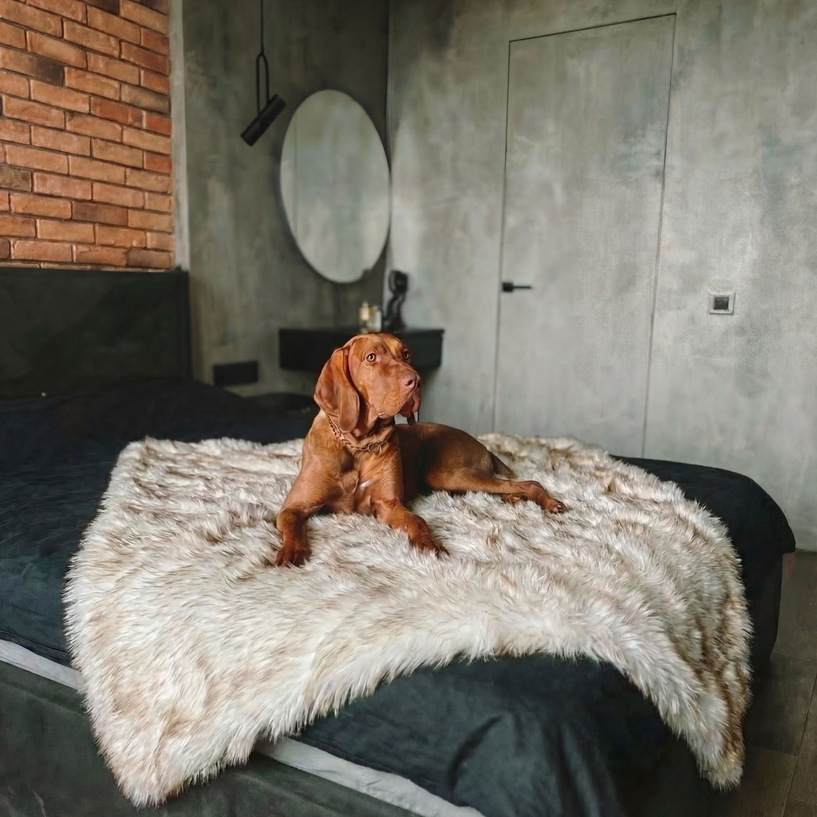 Waterproof Throw Blanket