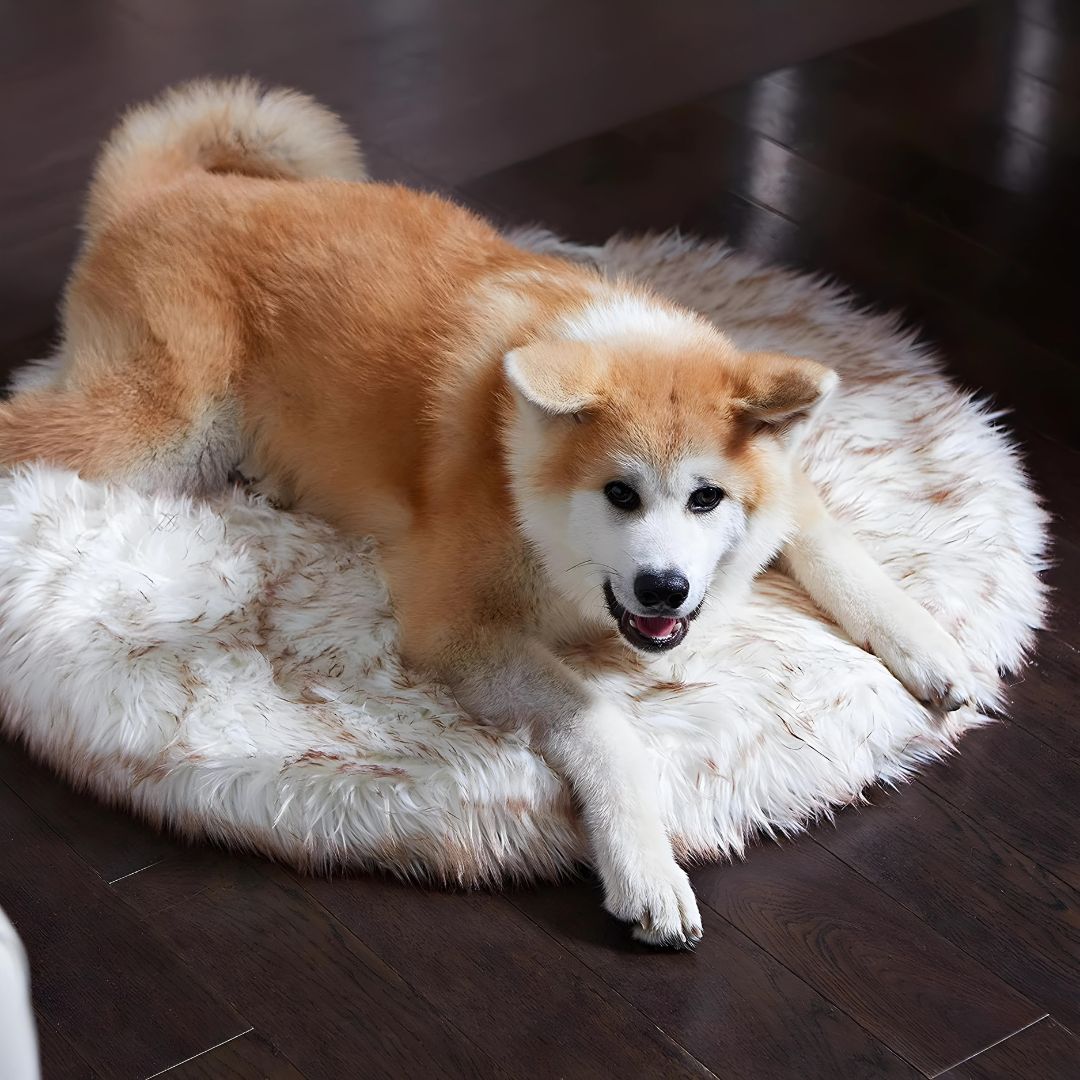 FAUX FUR DOG DONUT BED