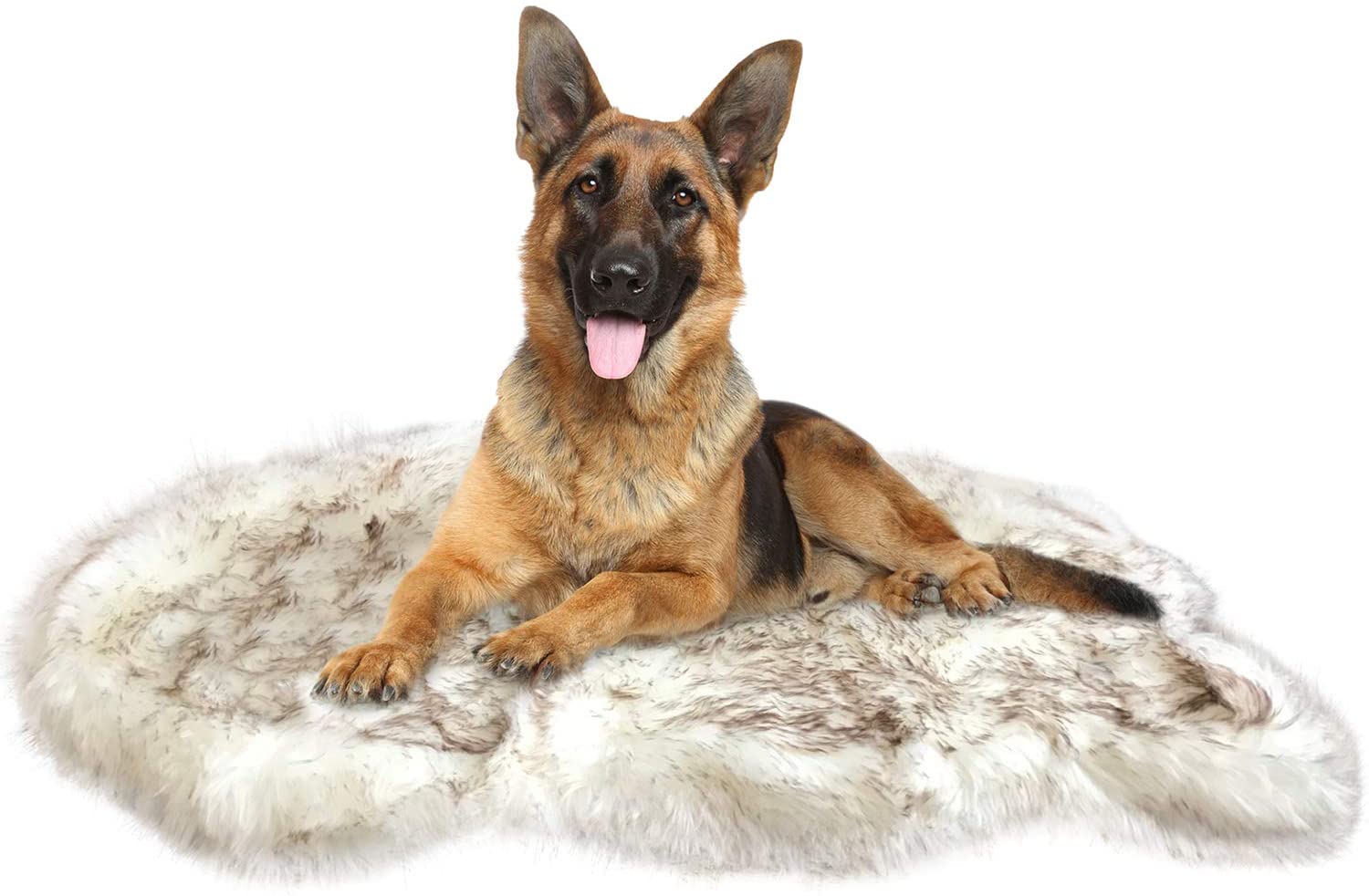 Best Waterproof Orthopedic Faux Fur Dog Bed: Why iHappyDog Leads the Pack