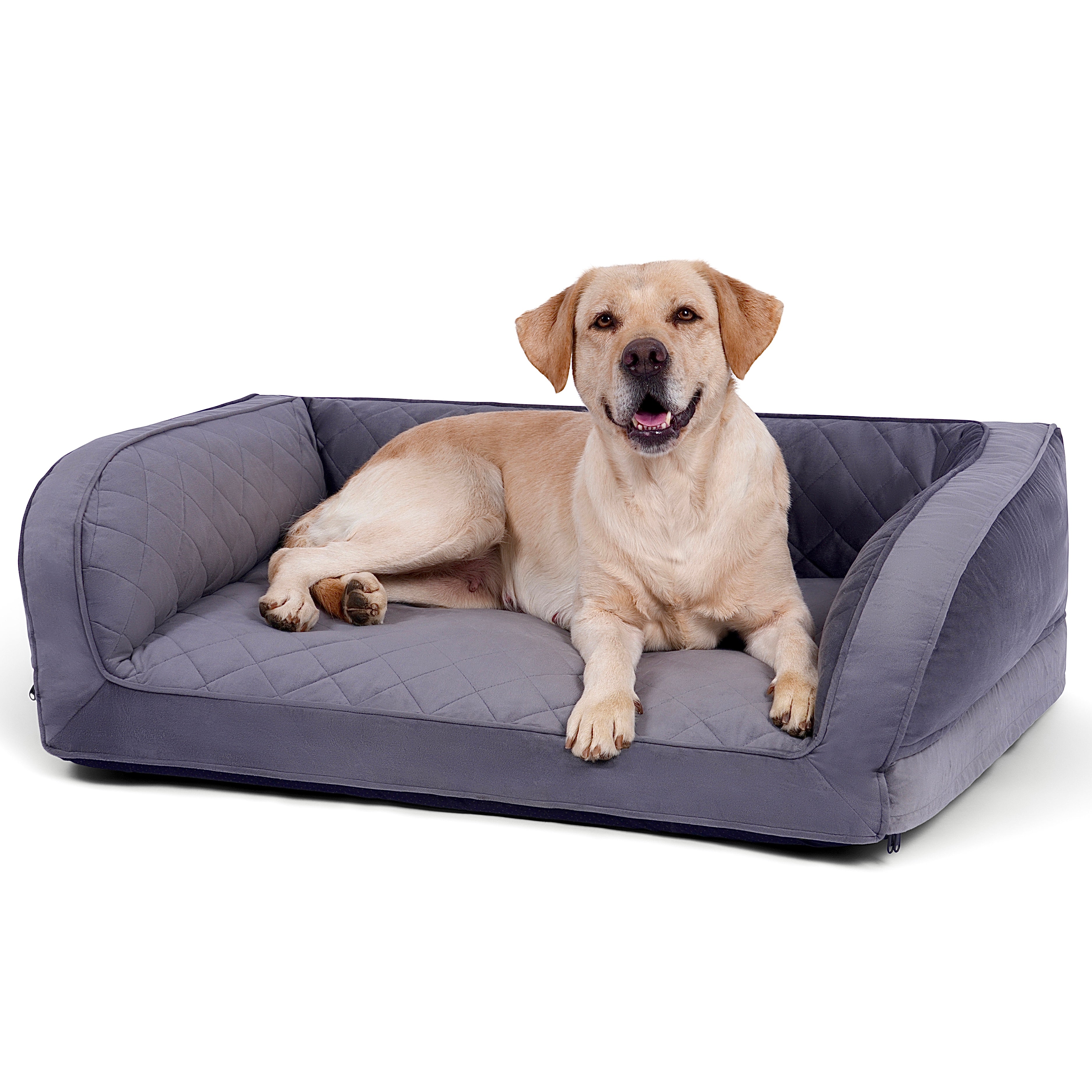 Orthopedic Dog Beds