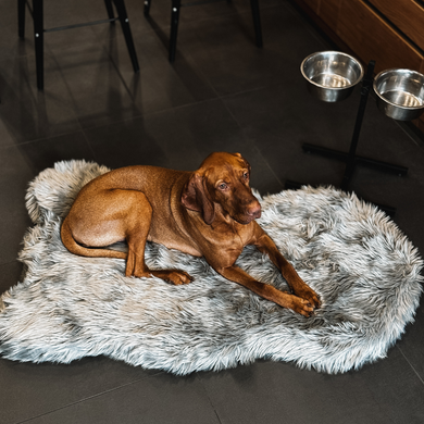 dog bed designer dog bed washable dog bed with fur large dog sheepskin pet bed with memory foam  fancy dog bed faux fur pet mat xl dog bed large memory foam large soft dog bed pup bed fur dog rug   dog security blanket sheepskin dog bed dog blankets and throws large big fluffy blankets giant  mastiff dog bed golden retriever dog heds great dane dog bed thermal labrador dog bed winter dom bed