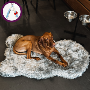 Luxury Faux Fur Orthopedic Dog Bed, Memory Foam Dog Bed for Small, Medium, Large and XL Pets, Fluffy Pet Rug with Waterproof and Washable Soft Cover