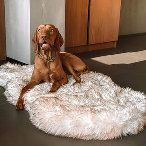 IHAPPYDOG Luxury Faux Fur Orthopedic Dog Bed, Memory Foam Dog Bed for Small, Medium, Large and XL Pets, Fluffy Pet Bed with Waterproof and Washable Cover, Medium/Large/Giant