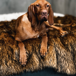 Waterproof Dog Blanket, Plush Throw for Sleeping, Whelping, and Comfort