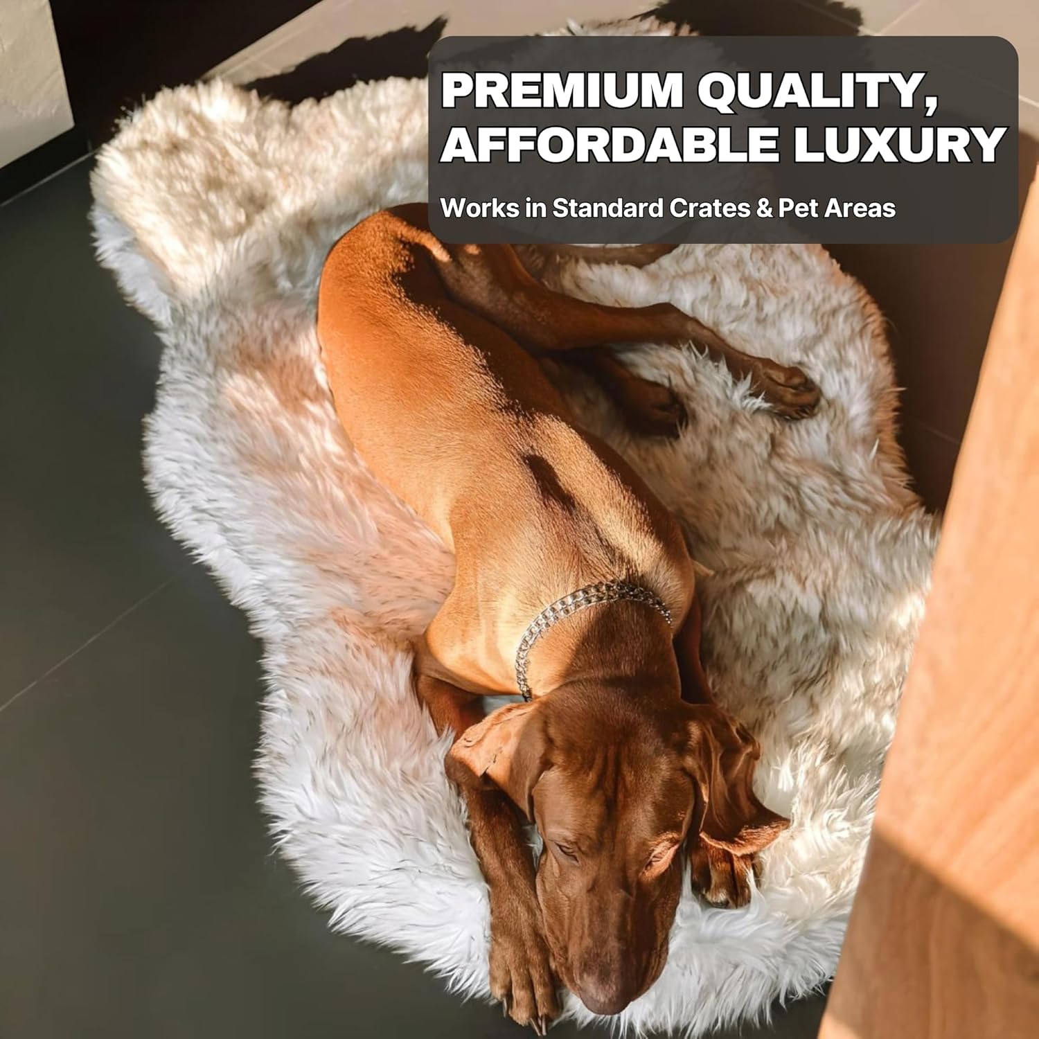 Dog lying on a fluffy white rug with text about premium quality and affordable luxury.