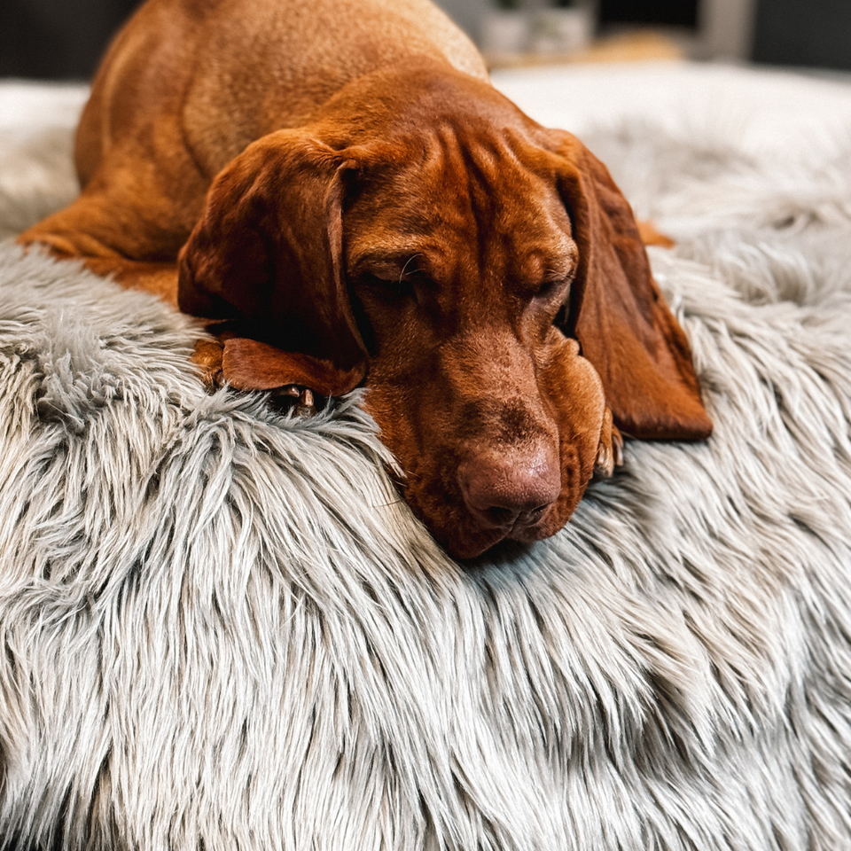 Faux fur dog throw sale