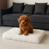 LUXURY FAUX FUR DOG BED