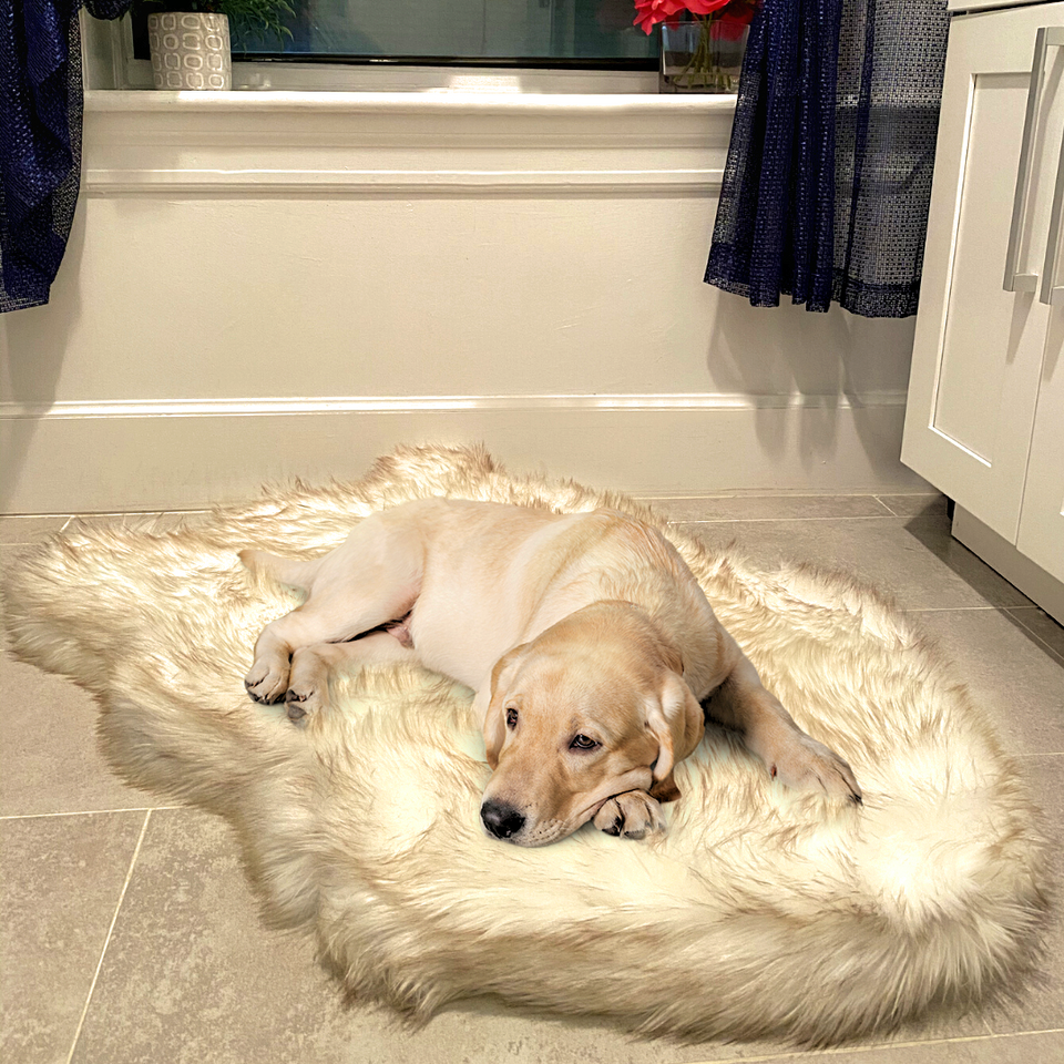 Dog rug bed best sale