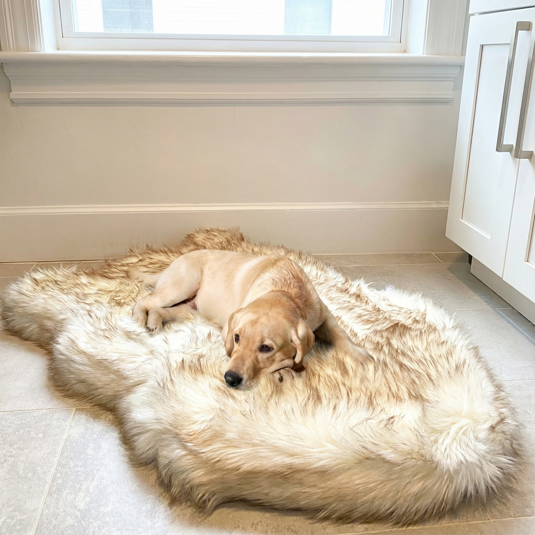 pup rug faux fur sheepskin dog bed dog beds large sized dog faux fur orthopedic dog bed paw pup rug faux fur dog bed fur rug faux fur dog bed pet rugs fur dog bed fur dog bed for large dogs furry mat dog beds faux fur shag dog bed fur dog bed rug paw dog bed faux fur dog blanket dog beds xl dog bed that looks like rug