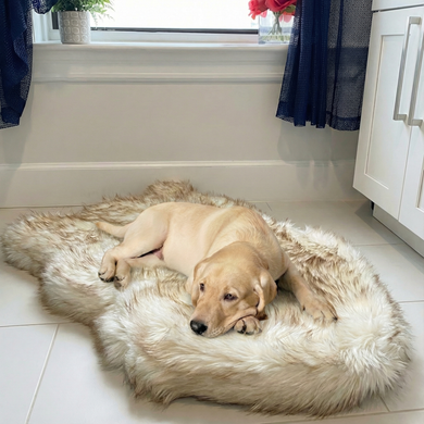 pup rug faux fur sheepskin dog bed dog beds large sized dog faux fur orthopedic dog bed paw pup rug faux fur dog bed fur rug faux fur dog bed pet rugs fur dog bed fur dog bed for large dogs furry mat dog beds faux fur shag dog bed fur dog bed rug paw dog bed faux fur dog blanket dog beds xl dog bed that looks like rug