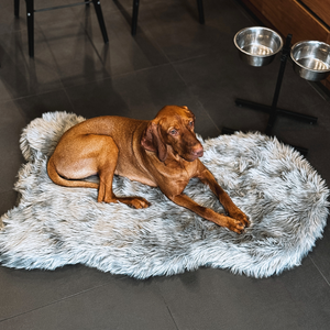 IHAPPYDOG Luxury Faux Fur Orthopedic Dog Bed, Memory Foam Dog Bed for Small, Medium, Large and XL Pets, Fluffy Pet Bed with Waterproof and Washable Cover, Medium/Large/Giant